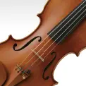 violin